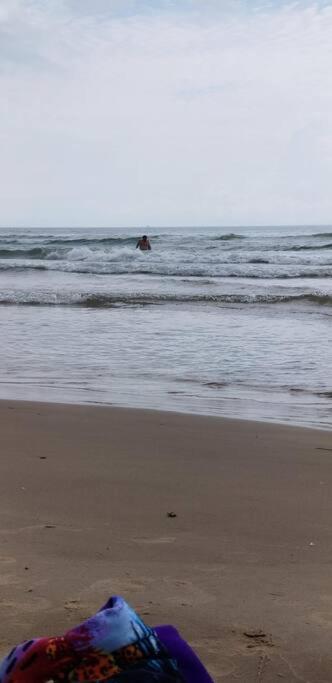 2 Bed 1 Bath Condo By Beach & Entertainment South Padre Island Εξωτερικό φωτογραφία