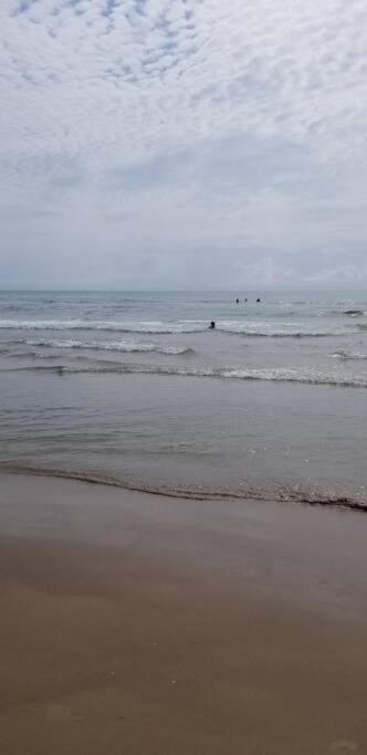 2 Bed 1 Bath Condo By Beach & Entertainment South Padre Island Εξωτερικό φωτογραφία